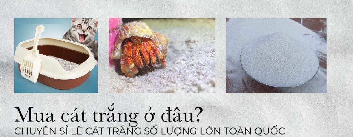 Mua Cát Trắng Ở Đâu