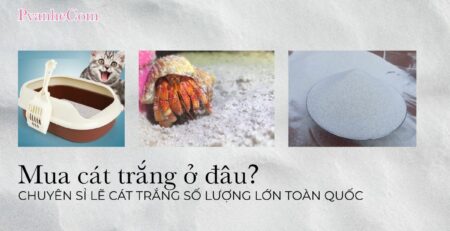 Mua Cát Trắng Ở Đâu