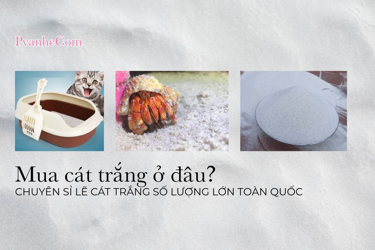 Mua Cát Trắng Ở Đâu