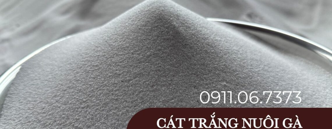 mua cát trắng nuôi gà