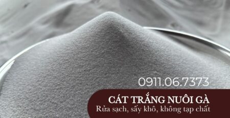 mua cát trắng nuôi gà